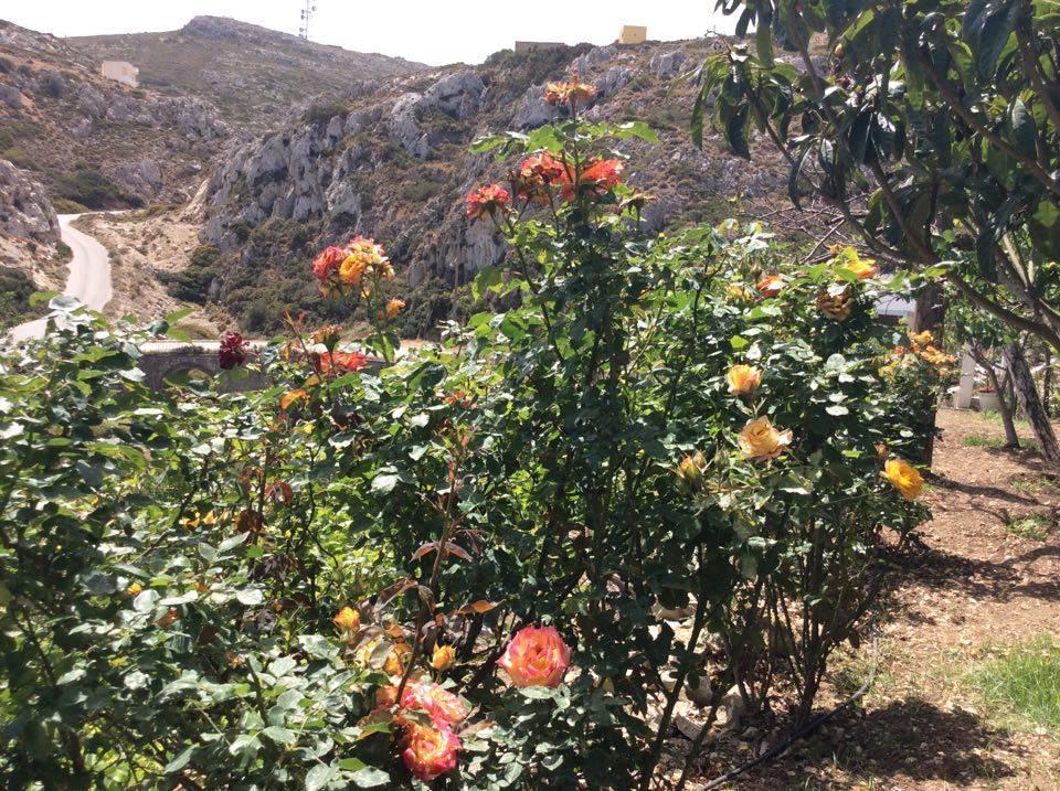 La Villa Di Zazopetra Menetaí Dış mekan fotoğraf