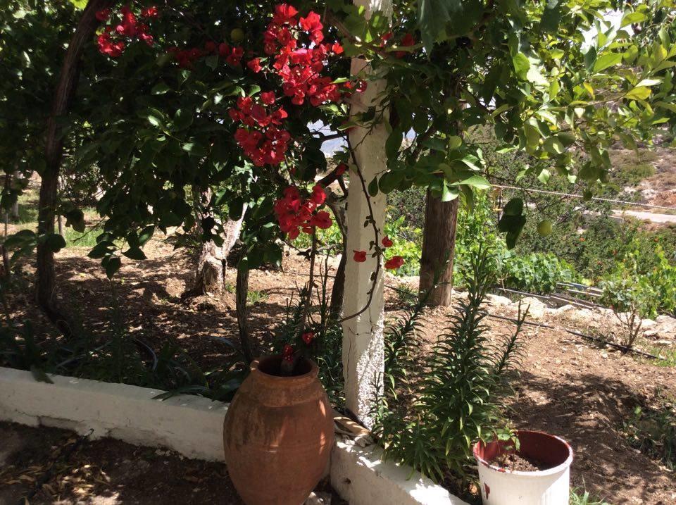 La Villa Di Zazopetra Menetaí Dış mekan fotoğraf