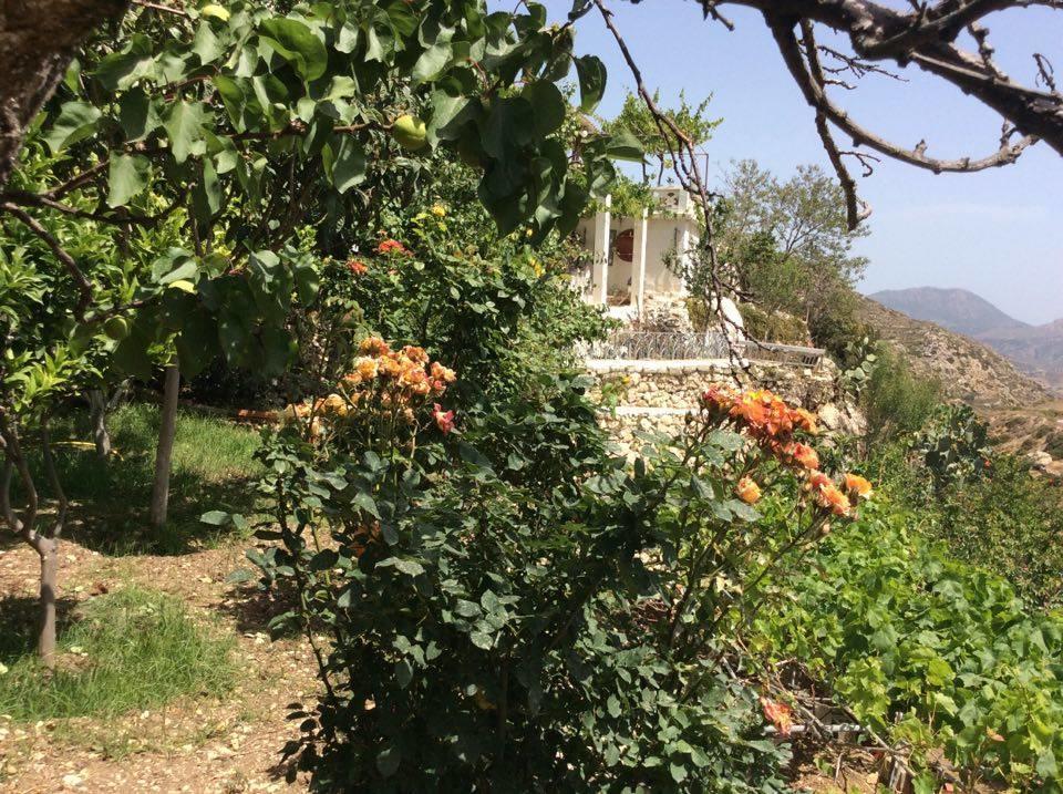 La Villa Di Zazopetra Menetaí Dış mekan fotoğraf