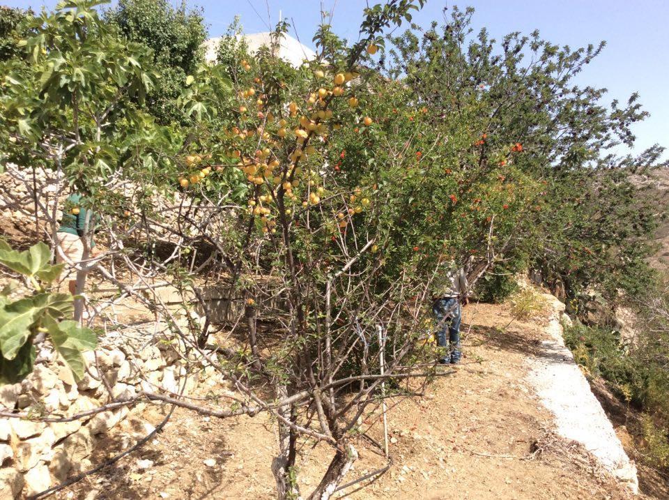 La Villa Di Zazopetra Menetaí Dış mekan fotoğraf