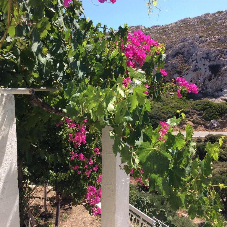 La Villa Di Zazopetra Menetaí Dış mekan fotoğraf
