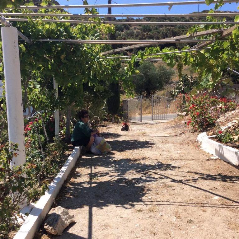 La Villa Di Zazopetra Menetaí Dış mekan fotoğraf