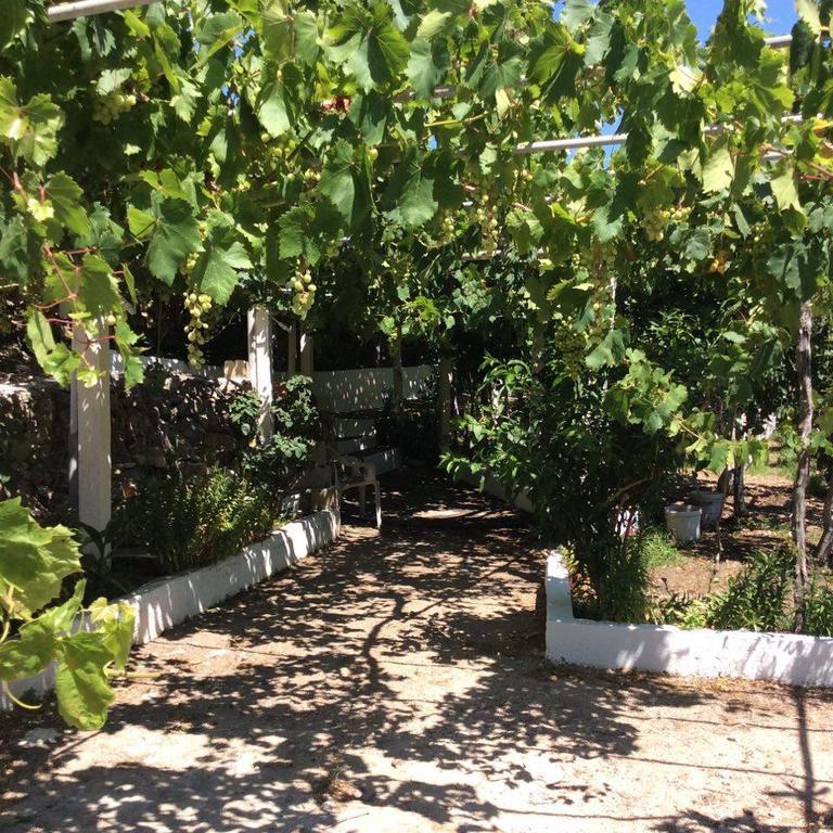 La Villa Di Zazopetra Menetaí Dış mekan fotoğraf