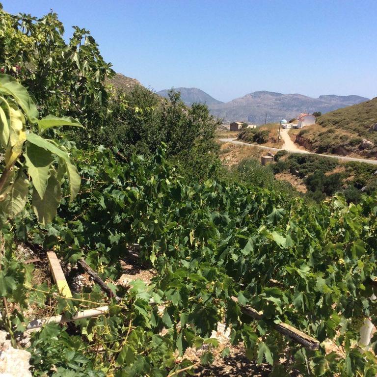 La Villa Di Zazopetra Menetaí Dış mekan fotoğraf